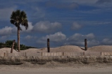 beach with dunes